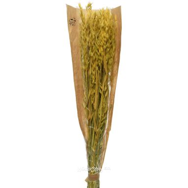 MAZZETTO FIORI SECCHI GIALLO 25X10X50CM