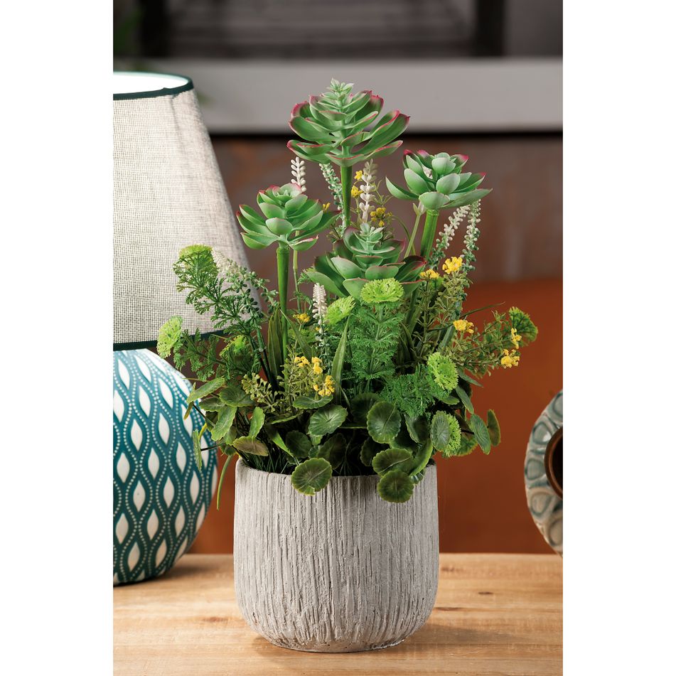 vaso-con-piantina-d-dot-14xh41cm-in-3-modelli