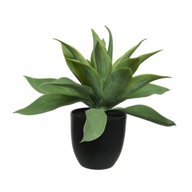 VASO CON AGAVE H34CM