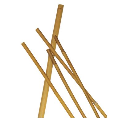 CANNETTA BAMBOO 10/12MM CM.120