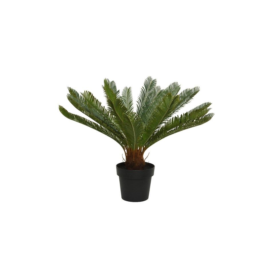 vaso-con-cycas-d-dot-80xh60cm