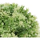 vaso-hedge-d-dot-12xh13cm-con-pianta