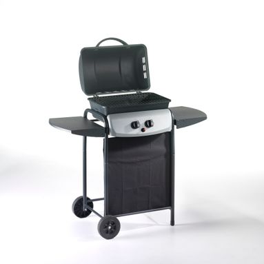 BARBECUE GAS 4936 float