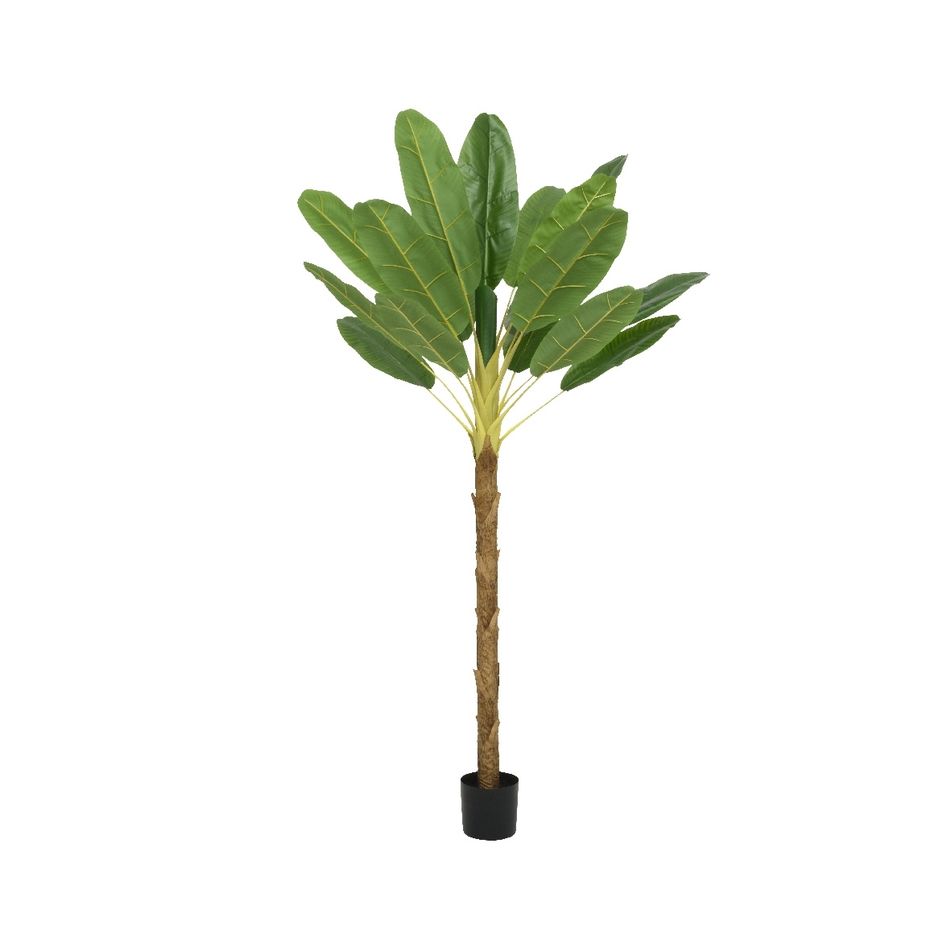 pianta-di-banano-120x100xh180cm-in-plastica