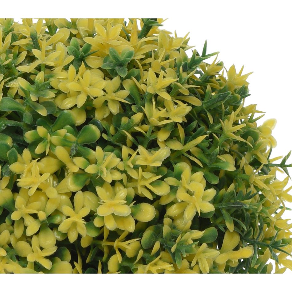 vaso-hedge-d-dot-12xh13cm-con-pianta