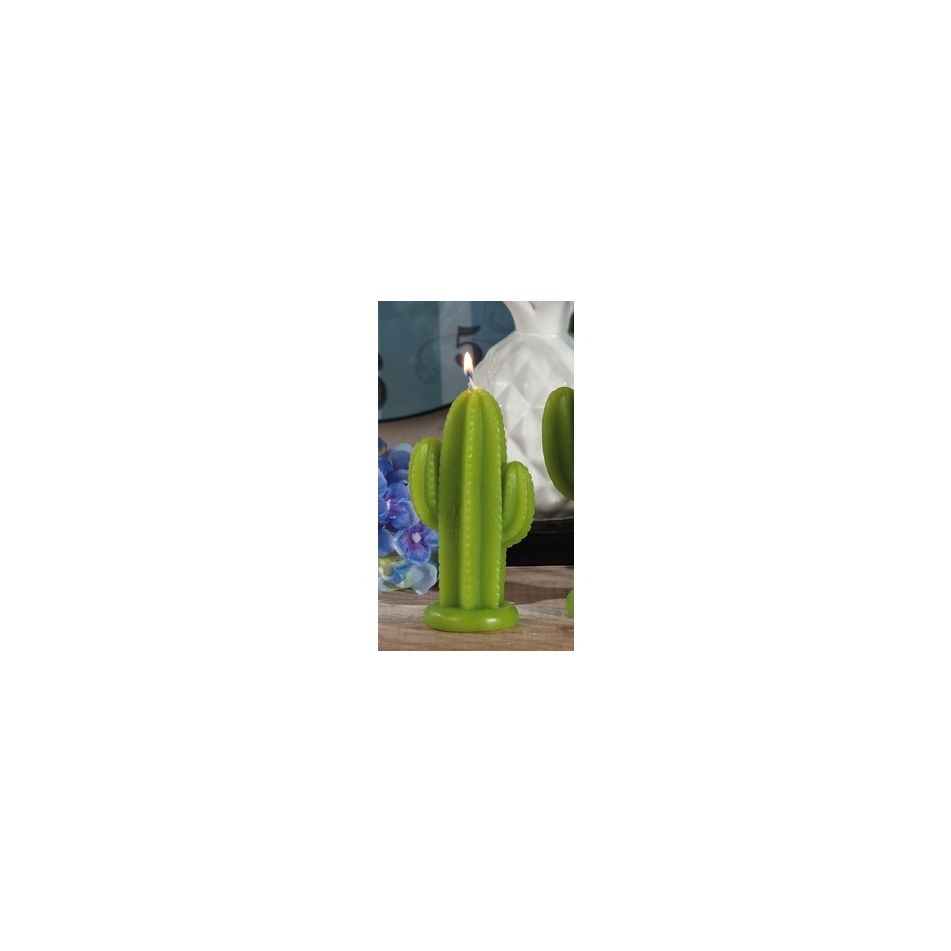 cand-mcactus-ass2col-cm7x5xh125