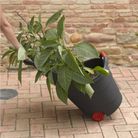 carrello-trolley-progress-53x59xh90cm-antracite