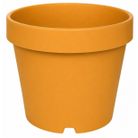 vaso-italia-d-dot-277xh224cm-ocra