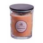 candela-profumata-d-dot-10xh13cm-3-fragranze-con-vaset