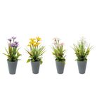vaso-con-narciso-d-dot-9xh26cm-in-4-colori