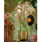 vaso-con-pampas-25x25xh65cm-in-plastica