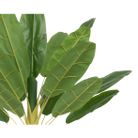 pianta-di-banano-120x100xh180cm-in-plastica