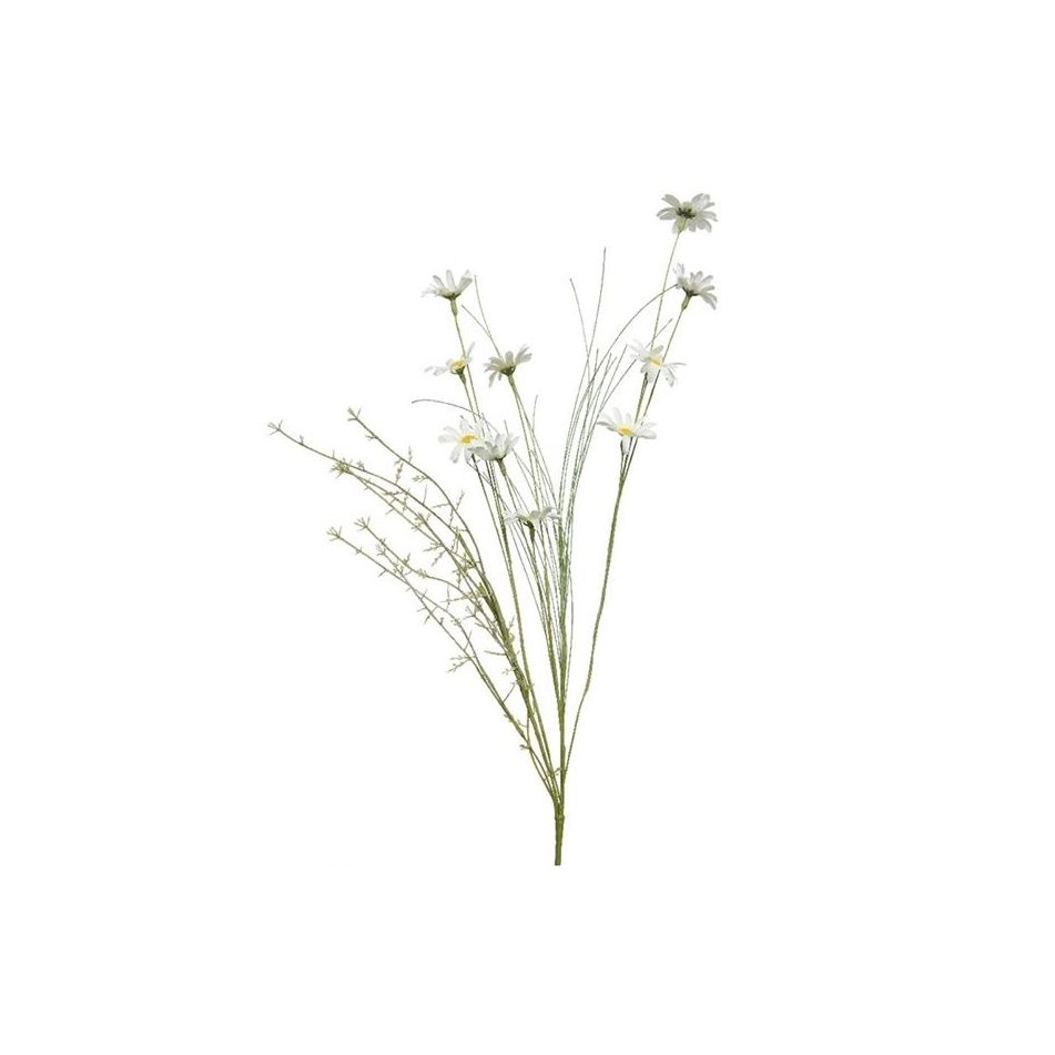 margherite-a-mazzo-20cm