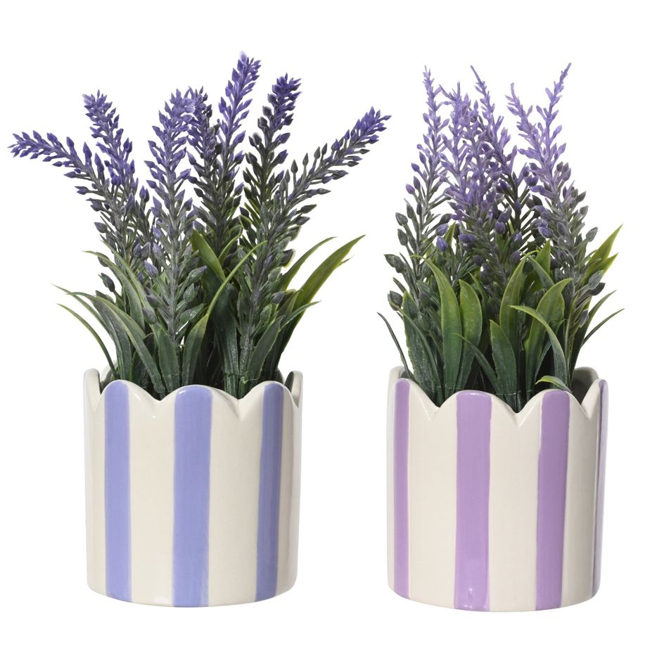 lavanda-d-dot-7xh18cm-con-vaso-in-porcellana-a-righe