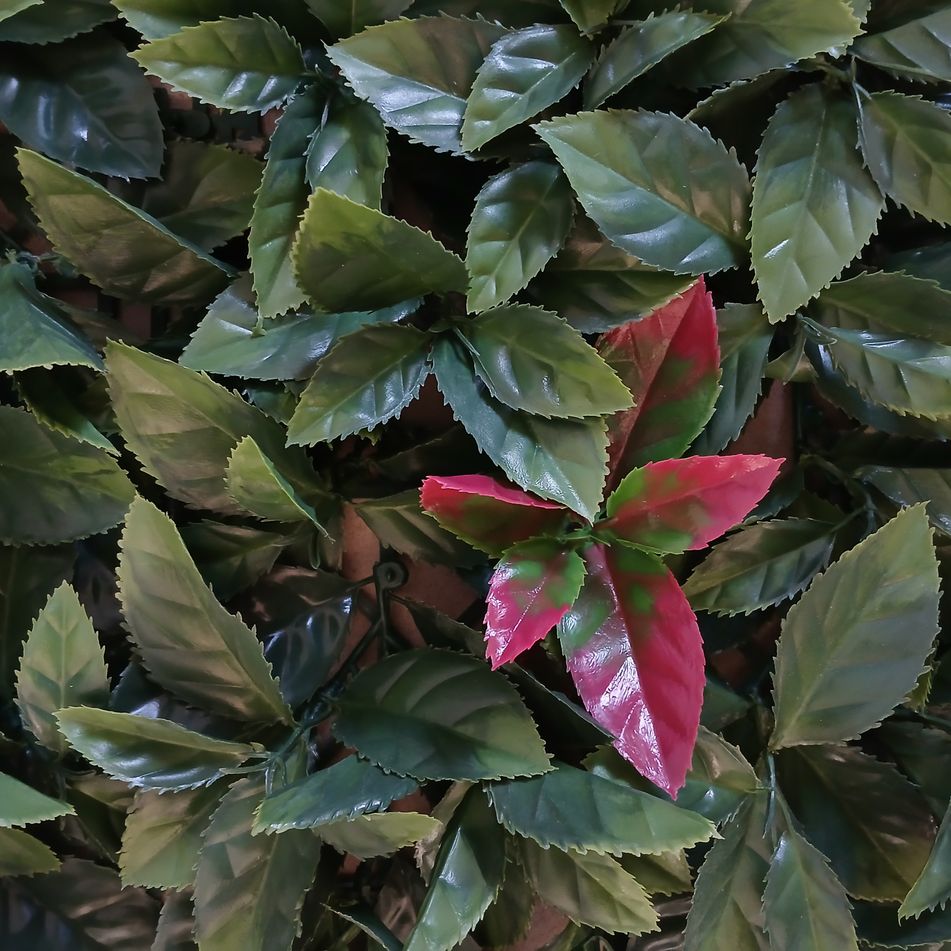 siepe-artificiale-red-leaf-50x50cm-verde-fissa