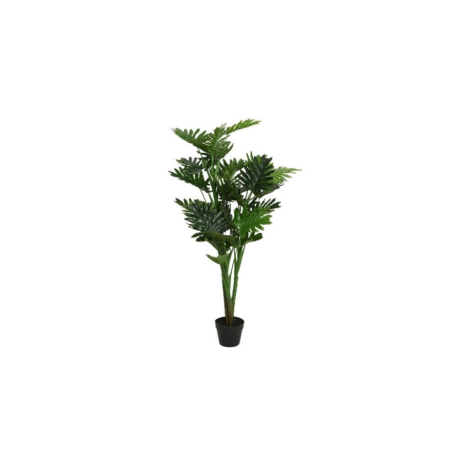 vaso-con-filodendro-d-dot-96xh135cm
