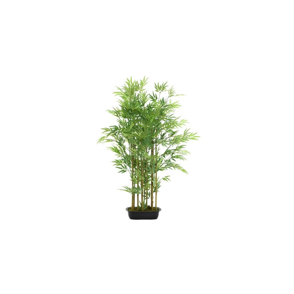 pianta-di-bambu