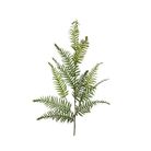 ramo-con-foglie-di-felce-38xh103cm
