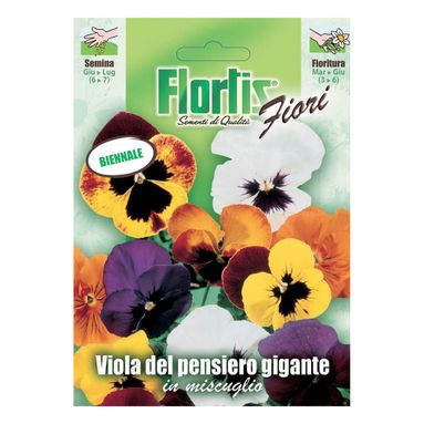 TUTTOGIARDINO VIOLA PENSIERO GIGANTE MIX