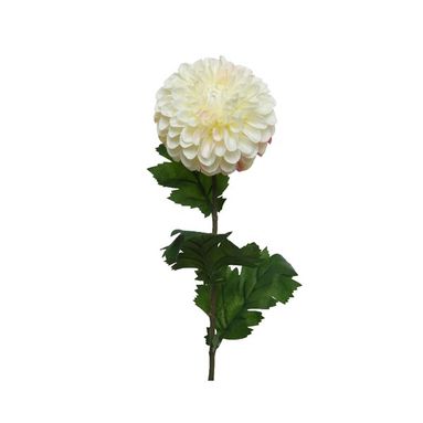 DALIA DECORATIVA CREMA H75CM