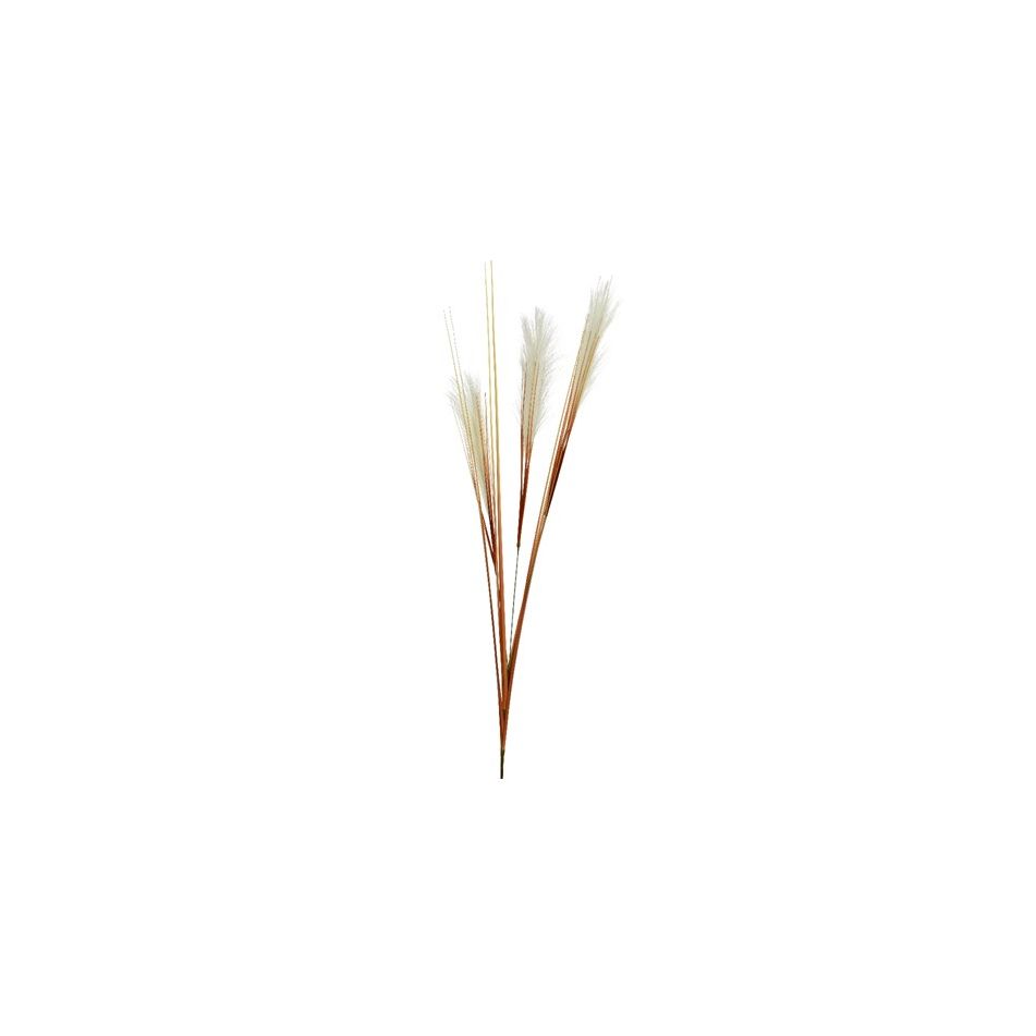 pennacchio-decorativo-35xh115cm-bianco-sporco