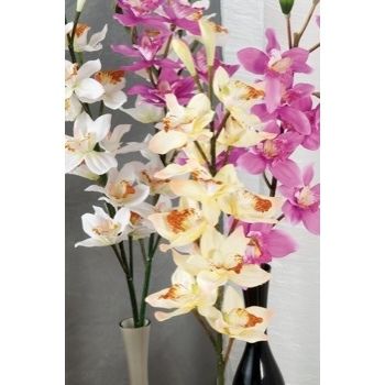 ORCHIDEA ASS 3 COLORI CM103