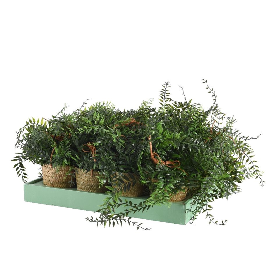 vaso-sospeso-con-felce-d-dot-20xh26cm-in-plastica