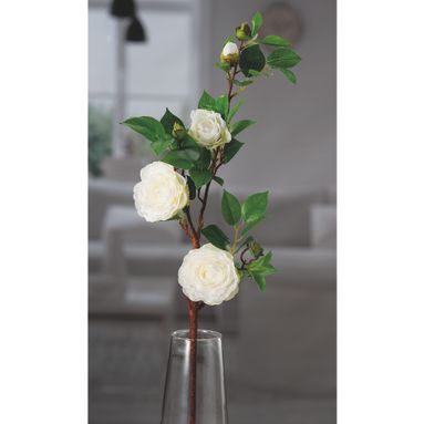 CAMELIA BIANCA 3 FIORI X DEC CM75