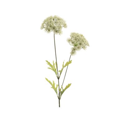 RAMO DI PIZZO DELLA REGINA ANNA H60CM