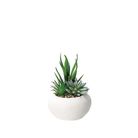 vaso-con-pianta-grassa-decorativa-d-dot-11xh15cm-in-2