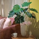 vaso-con-monstera-d-dot-60xh66cm