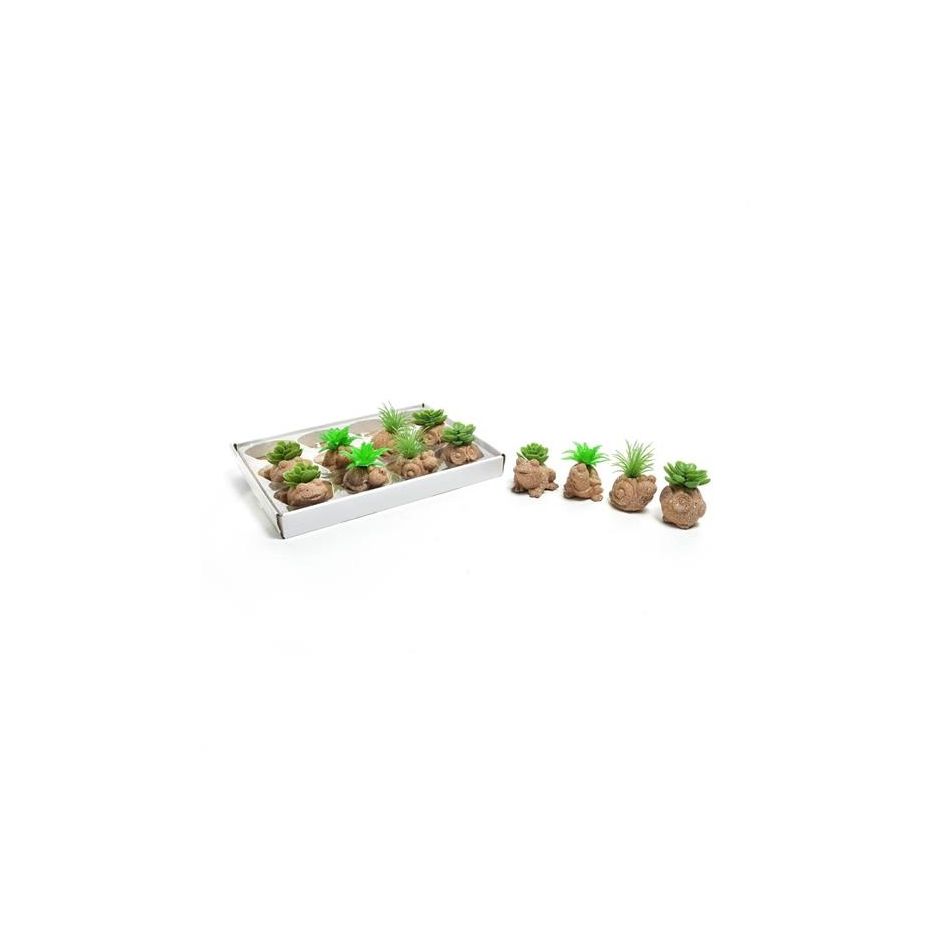 piantina-d-dot-10xh14cm-assortita-in-vaso-animaletto