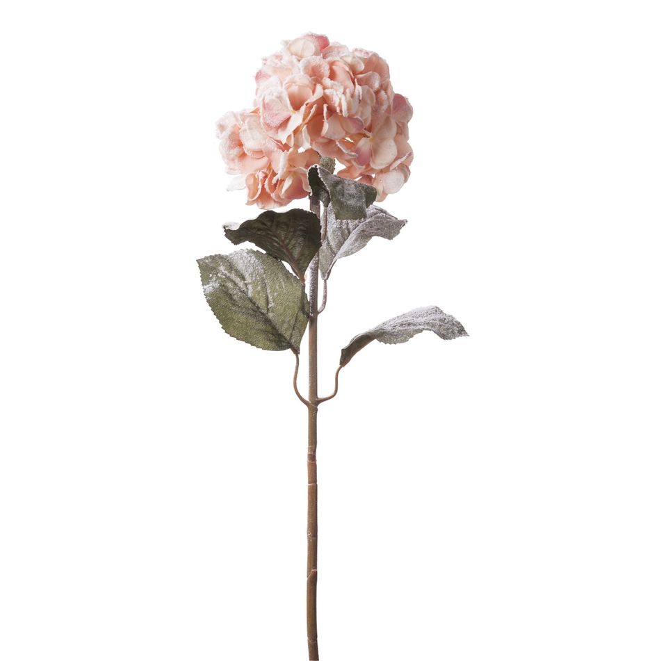 ortensia-innevata-cm85-rosa-slash-arancione