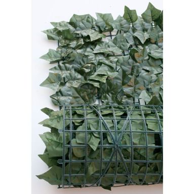 TRALICCIO SEMPREVERDE CON EDERA 1X2M