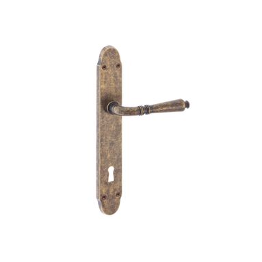 MANIGLIA DIECI C/PLACCA PATENT AN MM.70