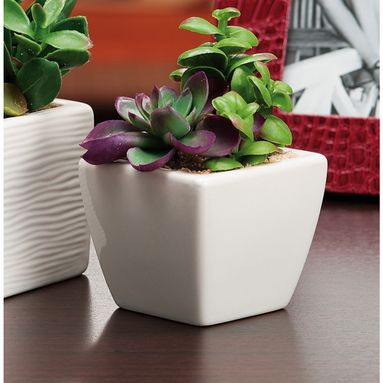 VASO CON PIANTA 7.5X7.5X6.5