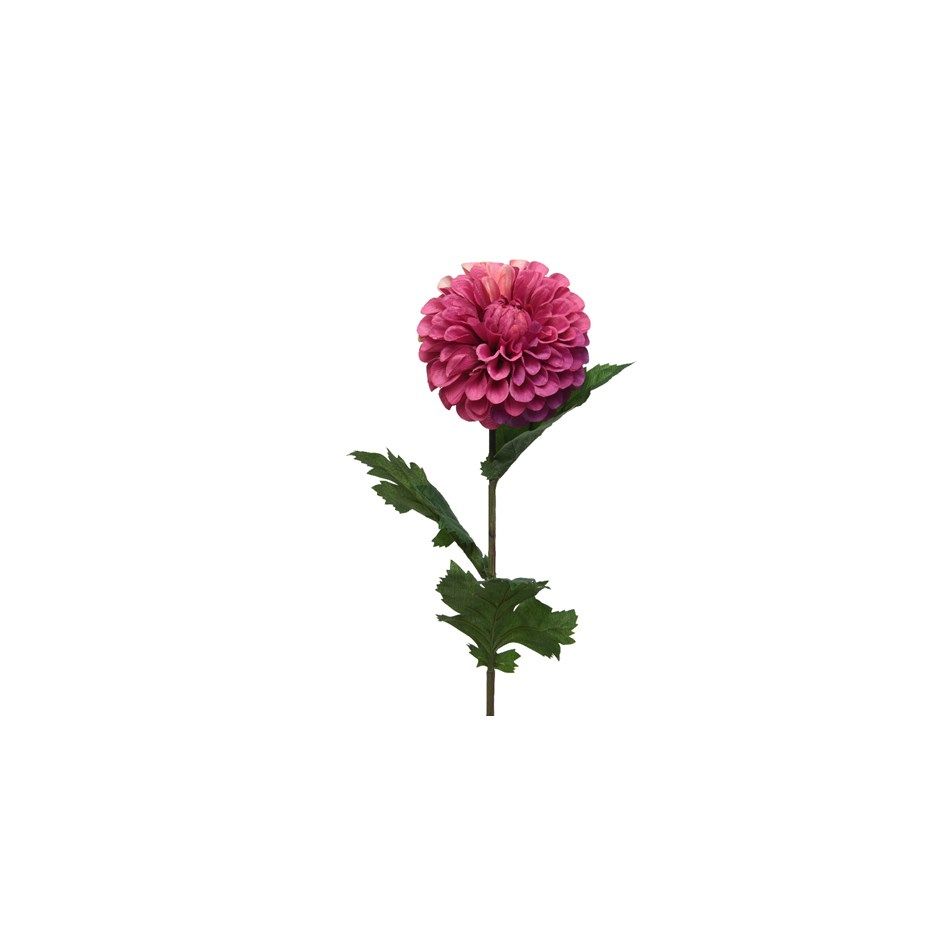 dalia-decorativa-fucsia-h75cm