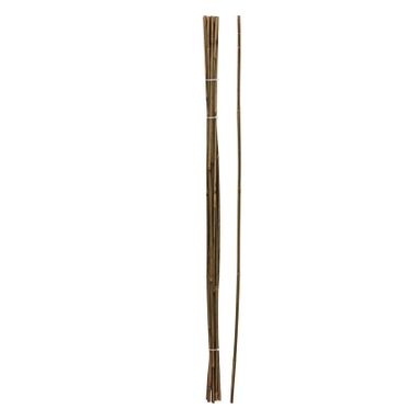 SET 10 CANNETTE 116CM IN BAMBU'.