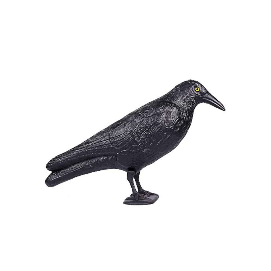 corvo-nero-35x19xh13cm-in-plastica