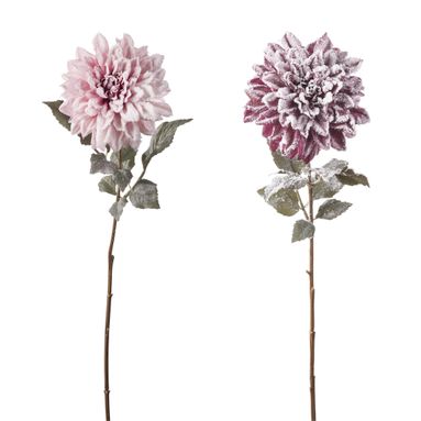 DALIA INNEVATA NATALIZIA CM73 ROSA / FUXIA.