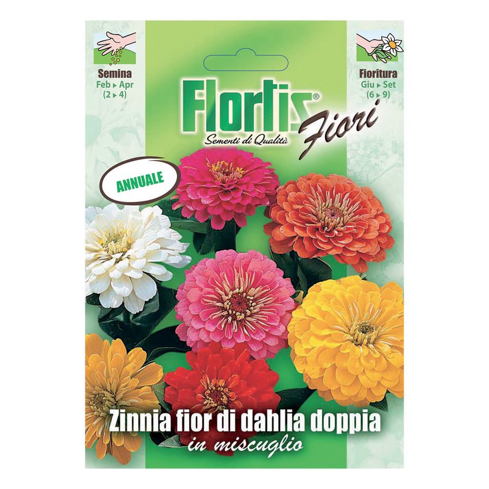 tuttogiardino-zinnia-fior-dahlia-doppia-mix