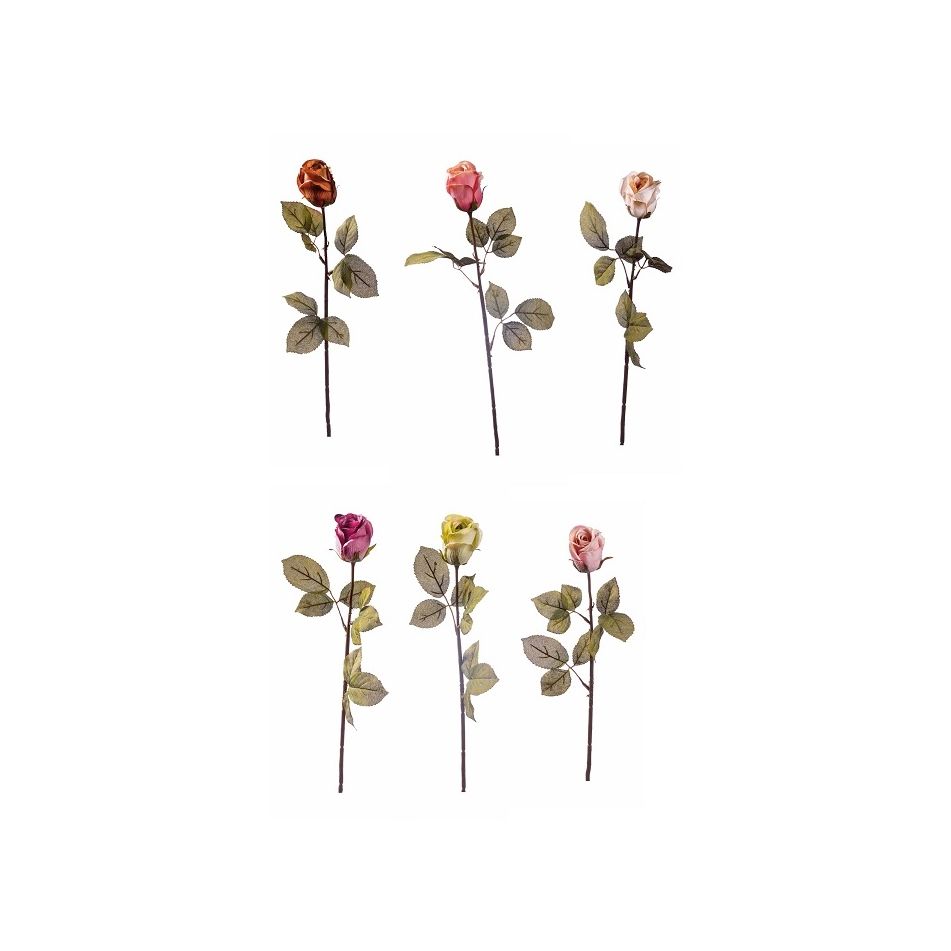 rosa-69cm-in-6-colori
