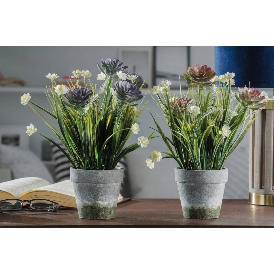 vaso-con-piantine-d-dot-10xh30cm-in-2-colori