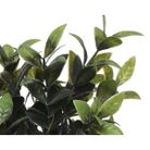 vaso-con-piantina-h21cm-in-4-modelli