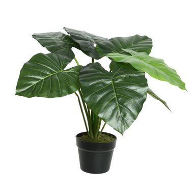 VASO CON ALOCASIA 69X69XH52CM DI PLASTICA