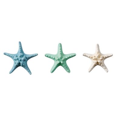 STELLA MARINA DECORATIVA 13.5CM IN 3 COLORAZIONI