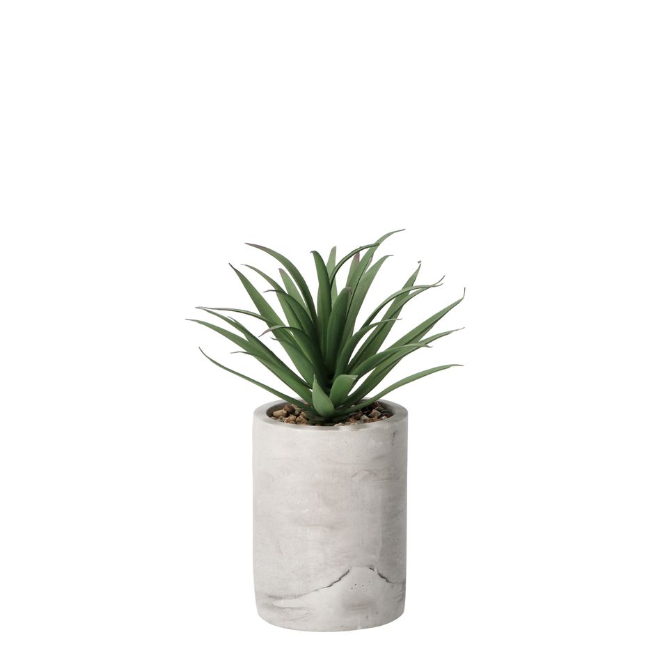vaso-con-pianta-grassa-decorativa-d-dot-9xh22cm-in-2-c