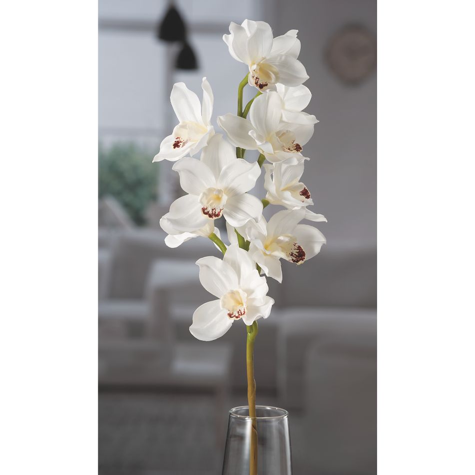 orchidea-bianca-11fiori-x-dec-cm77