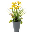 vaso-con-narciso-d-dot-9xh26cm-in-4-colori