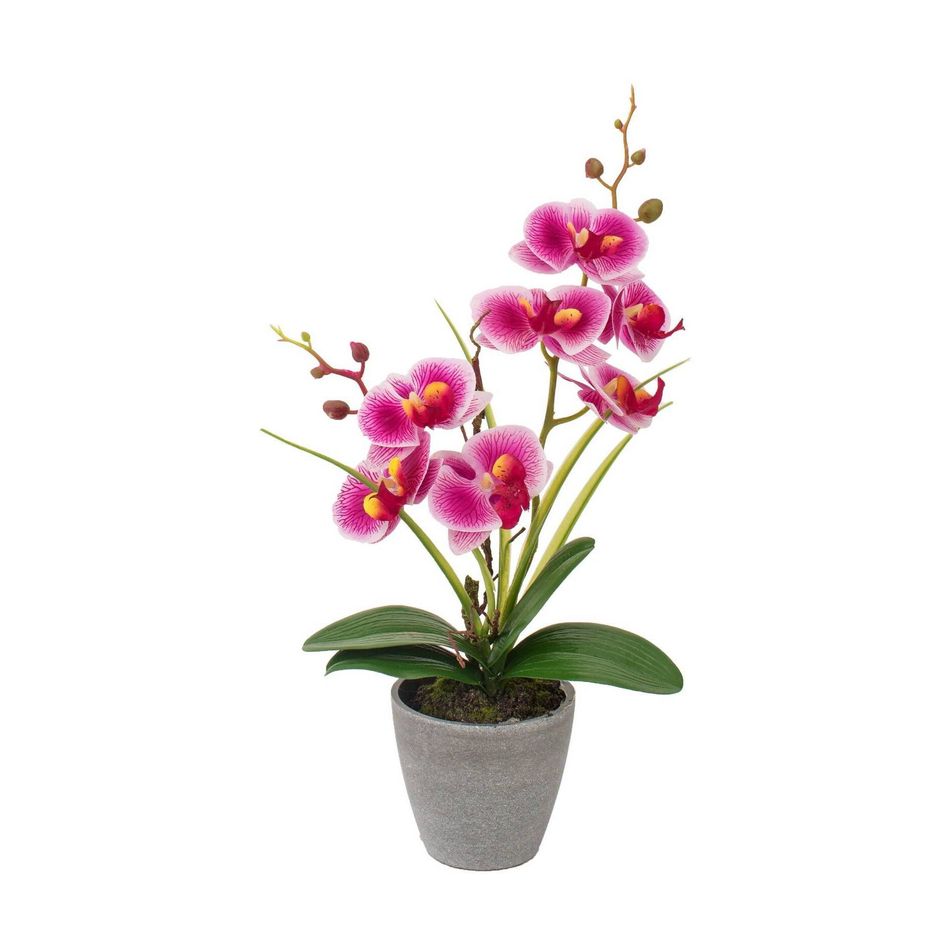 vaso-con-orchidea-a-7-fiori-d-dot-10xh38cm-in-4-colori